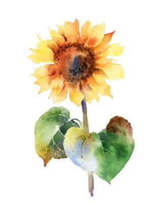 Sticker Aquarell mit Sonnenblume