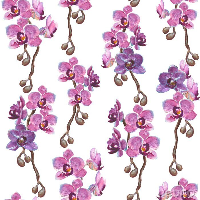 Poster Aquarell Orchidee Zweige nahtlose Muster auf weißem Hintergrund