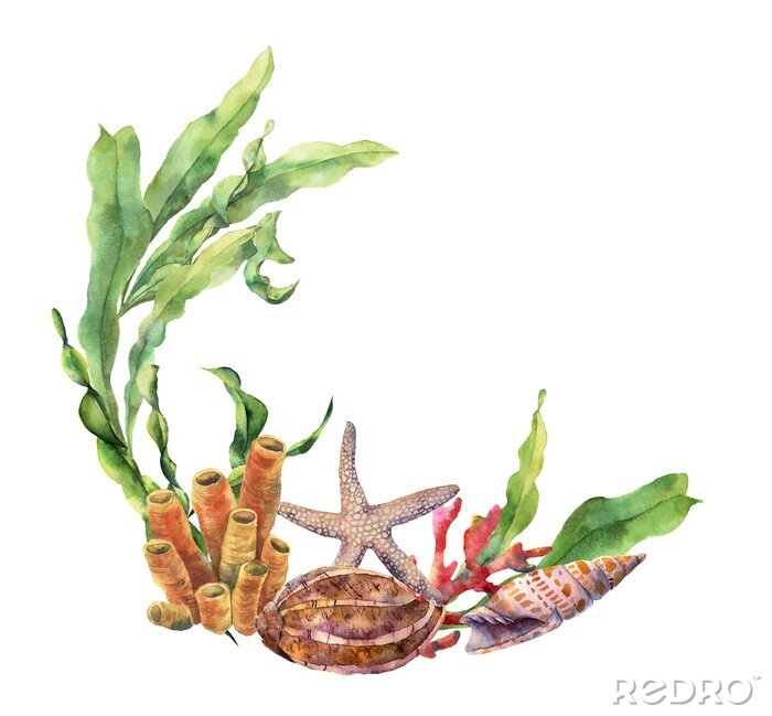 Poster Aquarell-Ozeanpflanzen