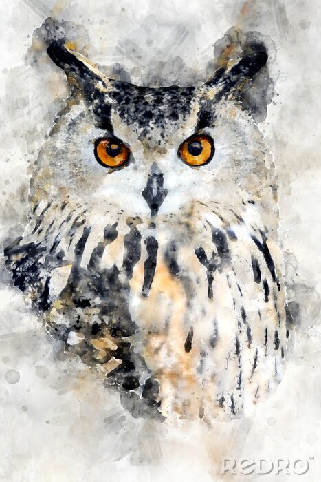 Poster Aquarell-Porträt einer Eule nach Maß - myredro.de