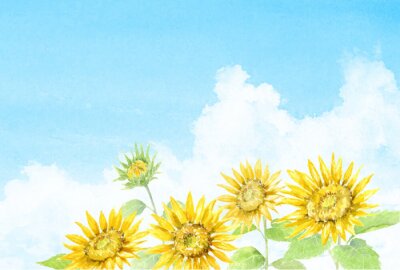 Poster Aquarell-Sonnenblumen am Sommertag