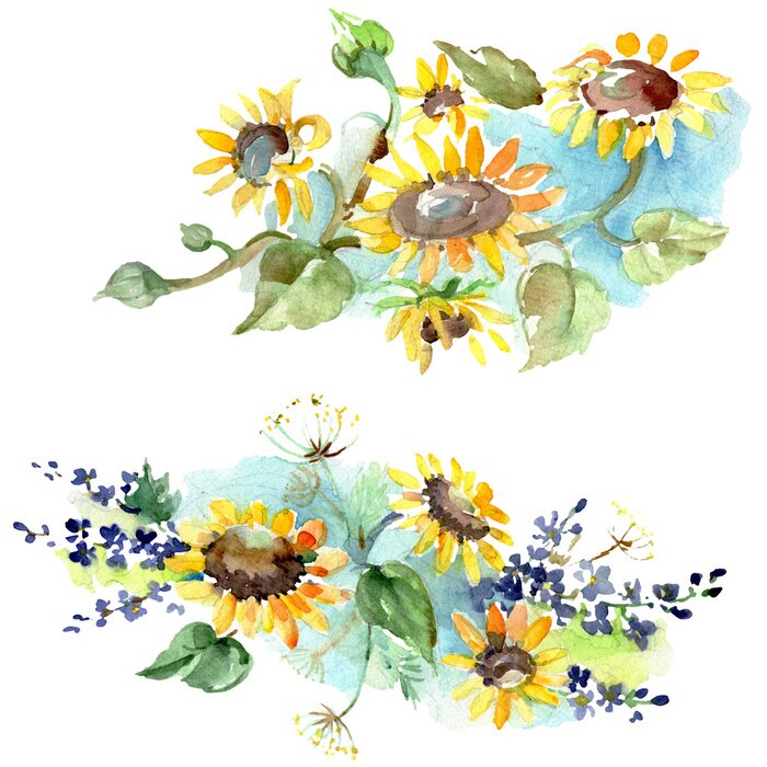 Poster Aquarell-Sonnenblumen auf blauer Schattierung