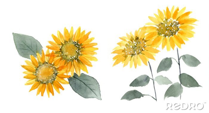 Poster Aquarell-Sonnenblumen in Gelb und Orange