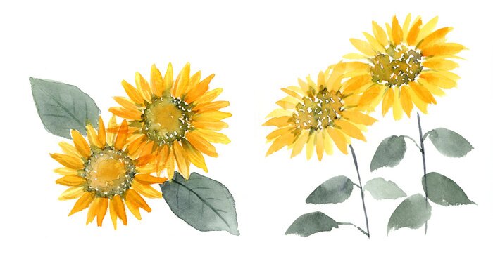 Poster Aquarell-Sonnenblumen in Gelb und Orange