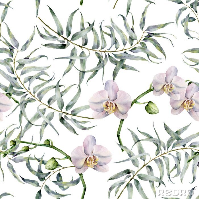 Poster Aquarell-Tropenmuster mit Eukalyptus und weißen Orchideen. Hand bemalte exotische Ornament mit Zweigen mit Blättern isoliert auf weißem Hintergrund. Natürlicher Druck für Design, Stoff.