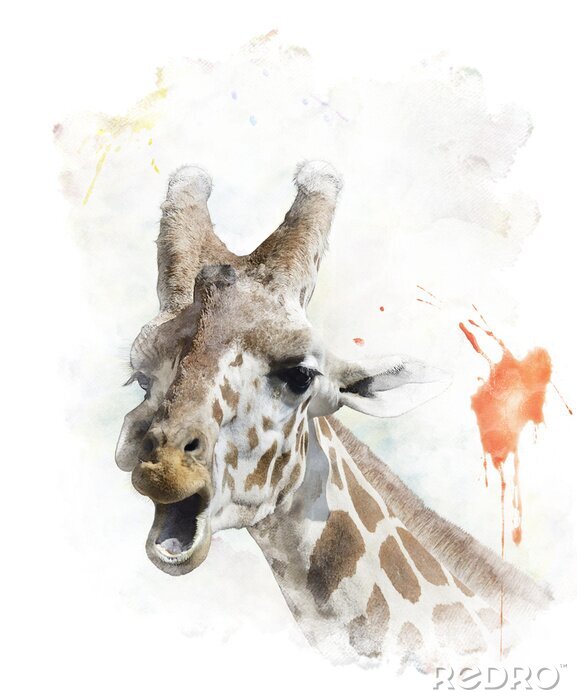 Poster Aquarellfarbene Giraffe