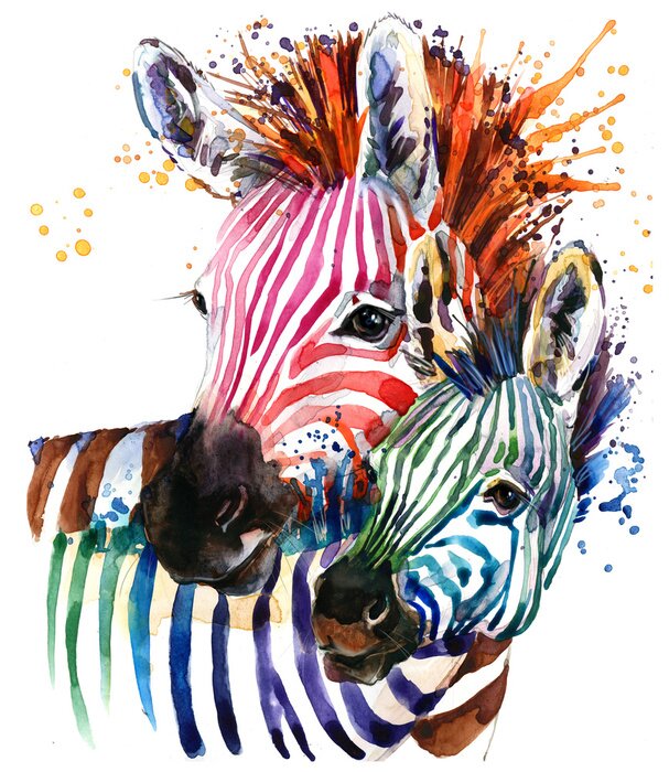 Poster Aquarellfarbene Zebras