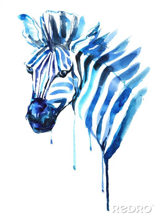 Poster Aquarellgemälde eines blauen Zebras