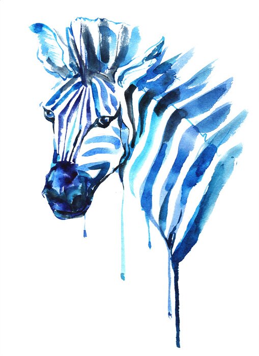 Poster Aquarellgemälde eines blauen Zebras
