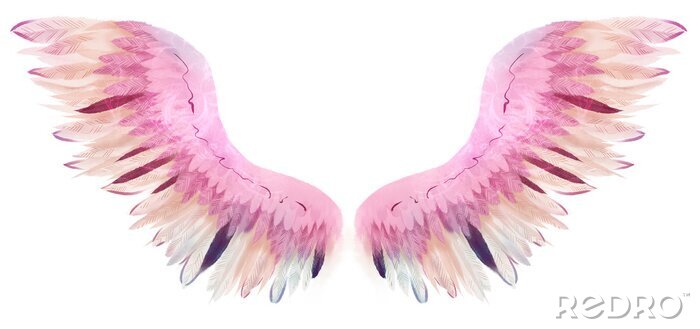 Poster Aquarellierte Flügel mit rosa und beigen Federn