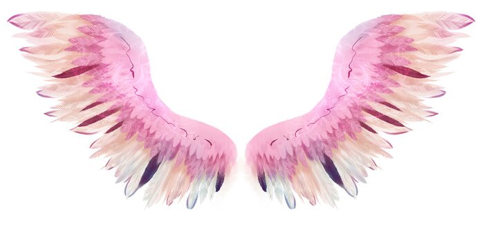 Poster Aquarellierte Flügel mit rosa und beigen Federn