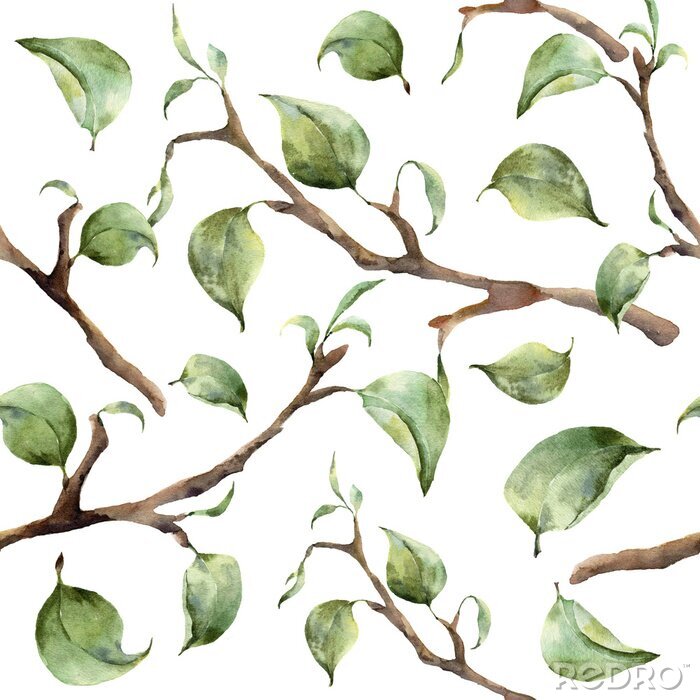Poster Aquarellmuster mit Ästen und Blättern. Hand bemalt Frühjahr Ornament mit floralen Elementen mit Blättern isoliert auf weißem Hintergrund. Für Design und Stoff