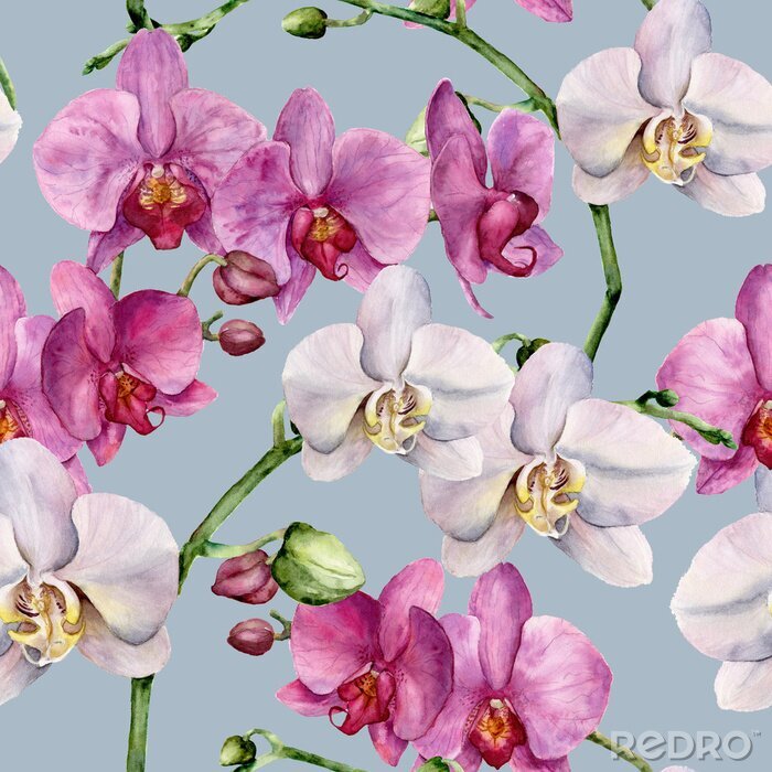 Poster Aquarellmuster mit weißen und rosa Orchideen. Handbemalte Blumenbotanische Verzierung. Für Design, Stoff oder Druck.