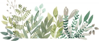 Aquarellpflanzen und Blätter