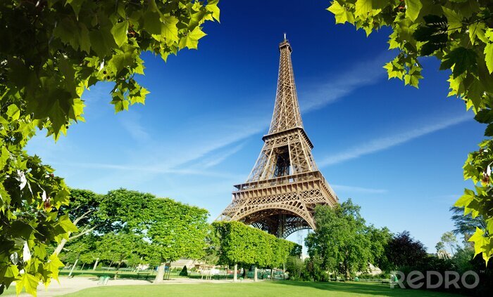 Poster Architektur von Paris inmitten der Blätter