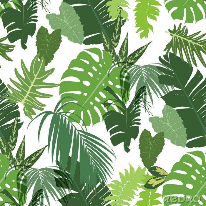Poster Arrangement mit grünen Blättern