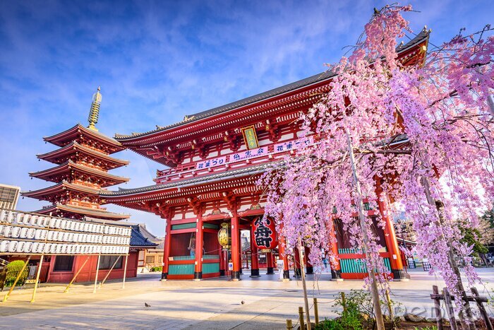 Poster Asien Tokio Tempel an einem sonnigen Tag
