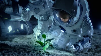 Astronauten mit Pflanze