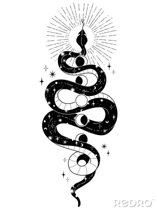 Poster Astronomische Schlange mit Mond, Sonne und Sternen