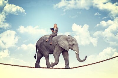Poster Auf einem Seil balancierender Elefant