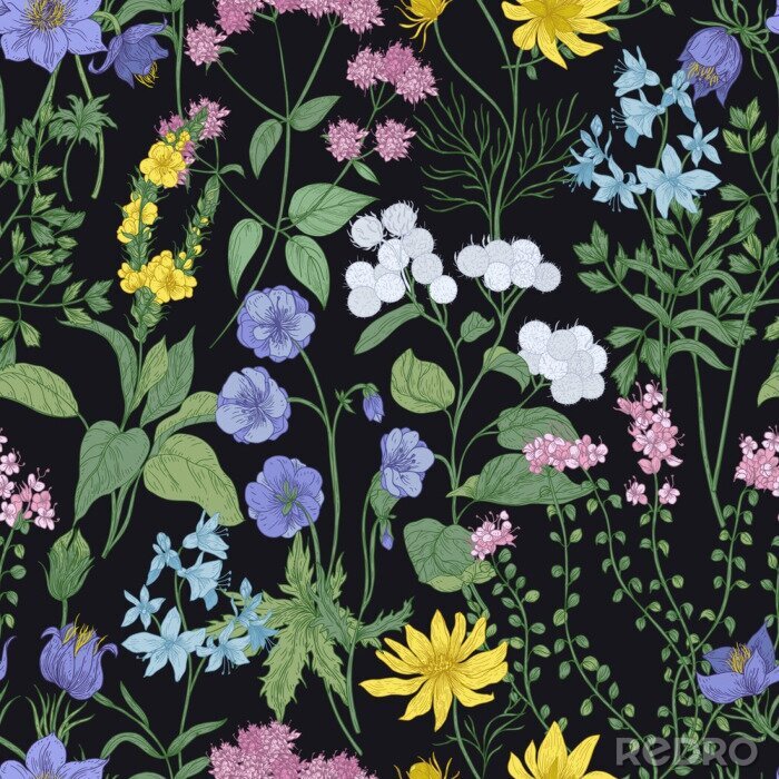 Poster Auf schwarzem Hintergrund ein Muster mit Wildblumen