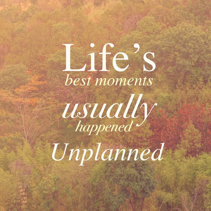 Poster Aufschrift über das Leben auf einem Hintergrund von Bäumen