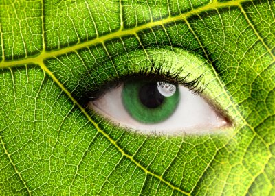 Poster Auge der Natur im Grünen