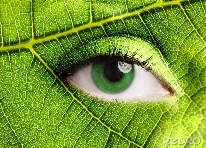Poster Auge der Natur im Grünen