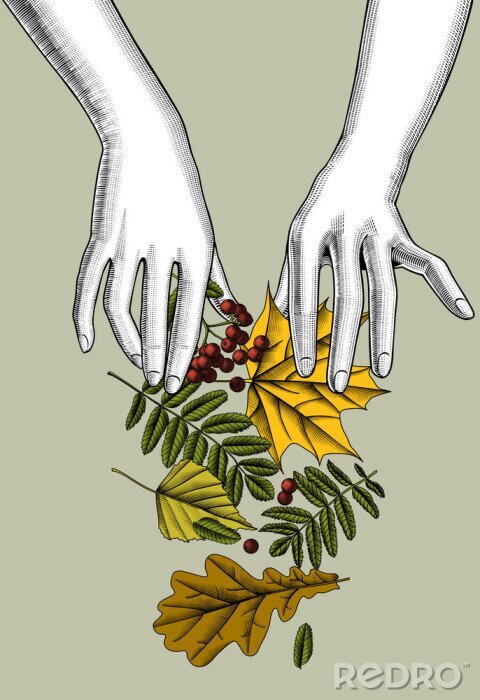 Poster Aus den Frauenhänden fallende Blätter