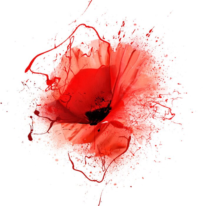 Poster Ausdrucksstarke Mohnblume