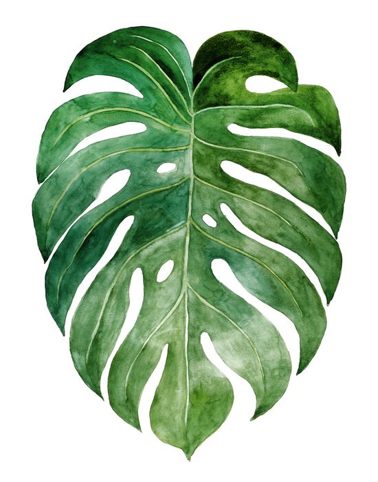Poster Ausdrucksstarkes Monstera-Blatt