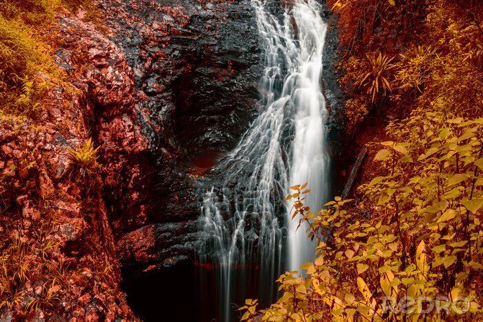 Poster Australien Wasserfall inmitten der bunten Blätter