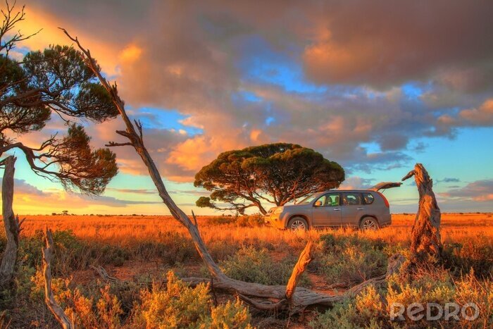 Poster Australische Savanne bei Sonnenuntergang