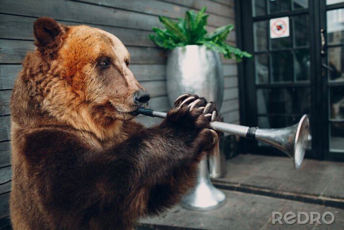 Poster Bär spielt die Trompete