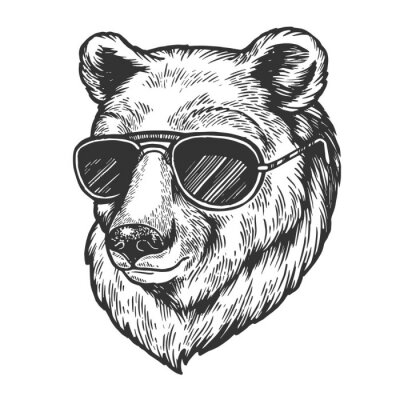 Poster Bärenkopf mit Sonnenbrille