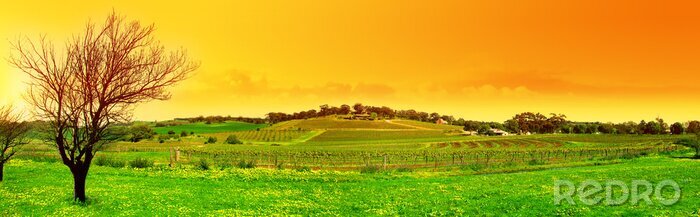 Poster Bäume in einer Panoramalandschaft