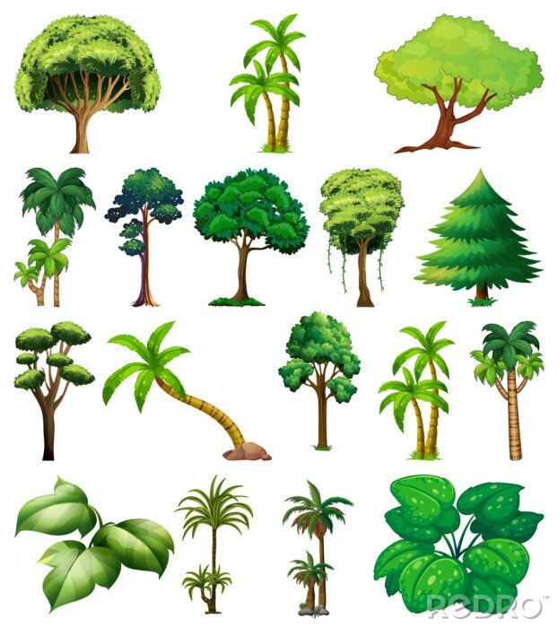 Poster Bäume und Pflanzen auf weißem Hintergrund