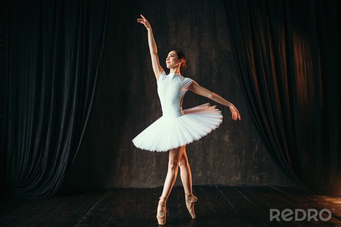 Poster Ballett Ballerina tanzt auf der Bühne