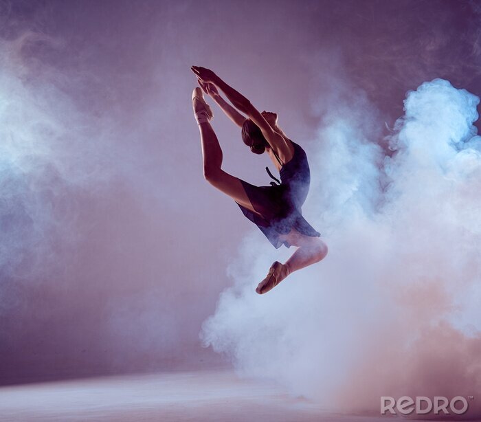 Poster Ballett eleganter Tanz im Nebel