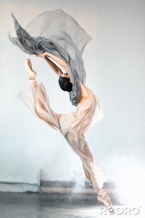 Poster Ballett Tänzerin Porträt einer Ballerina in Bewegung