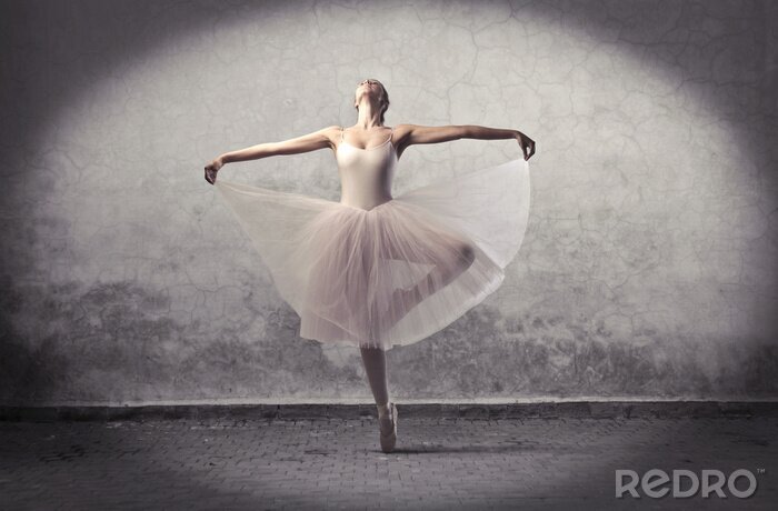 Poster Ballett Tänzerin Pose auf einem Bein