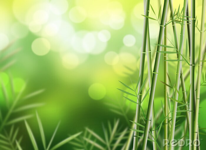Poster Bambus 3D mit Blättern