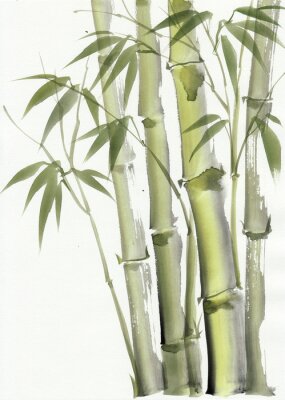 Poster Bambus in abgetöntem Grün
