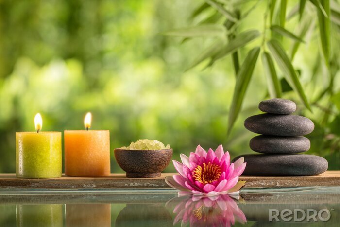 Poster Bambus in Spa