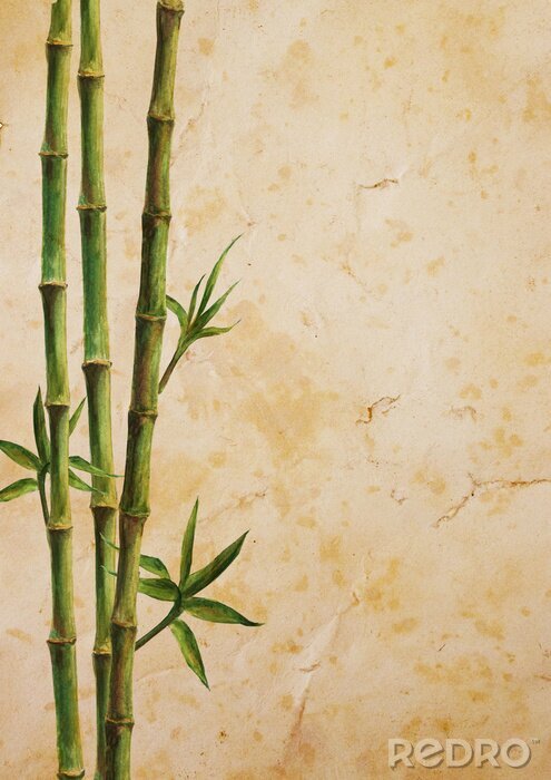 Poster Bambus mit drei Zweigen voller Blättern