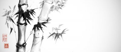 Bambus schwarz-weiße orientalische Illustration