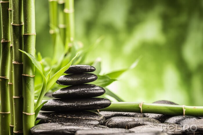 Poster Bambus und Steine