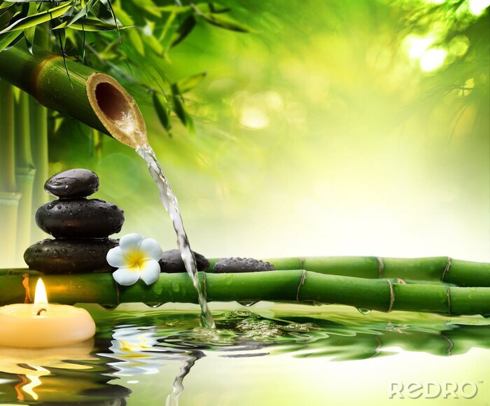 Poster Bambus- und Wassermtiv