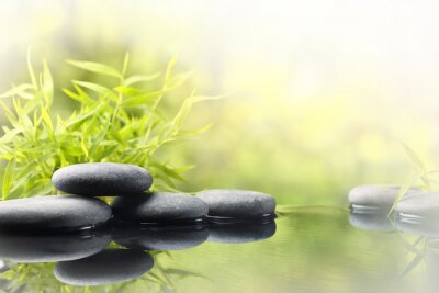 Bambusblätter Steine und Wasser