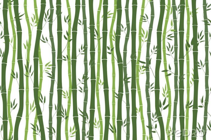 Poster Bambusstiele mit Blättern